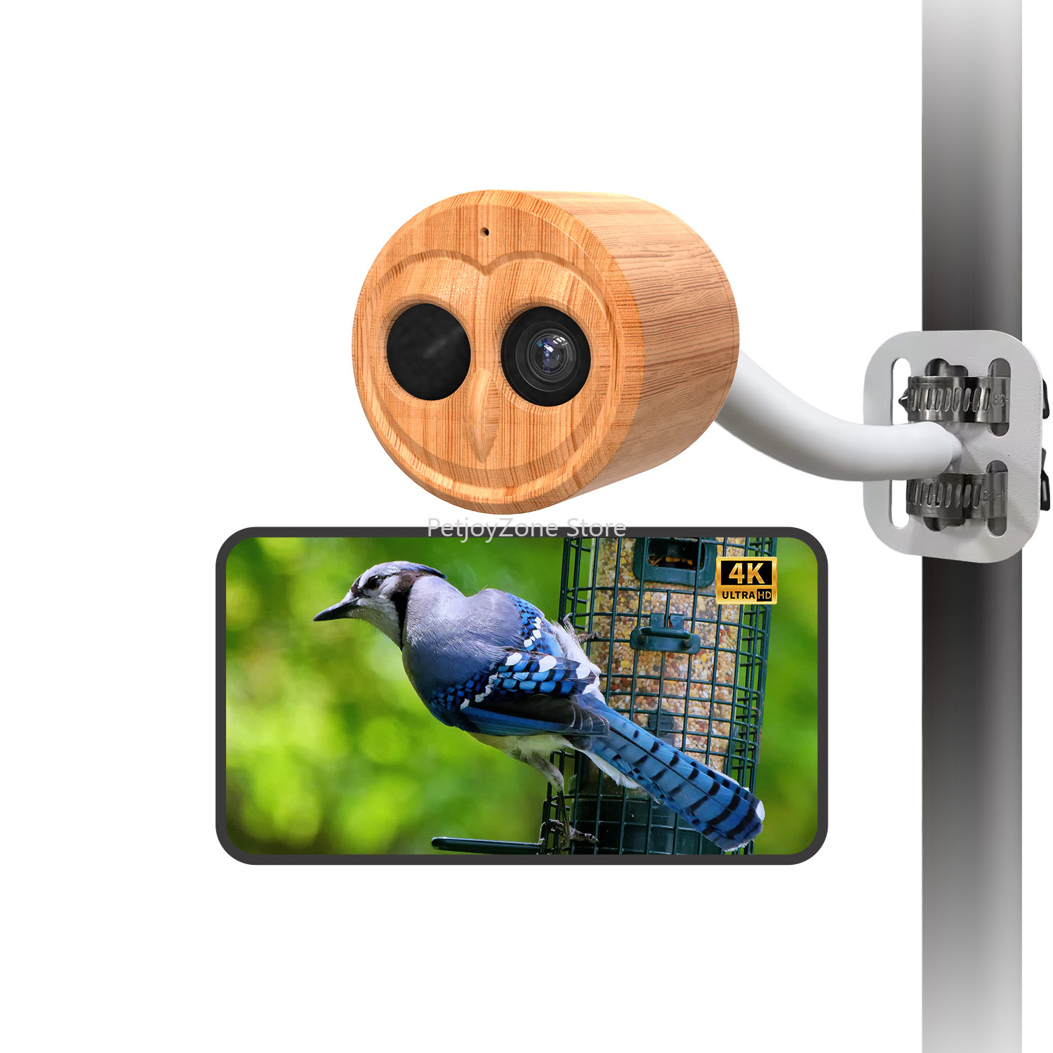 Smart Bird Feeder Camera - WILLFINE Automatischer KI-Vogelfutterspender mit Kamera 4K