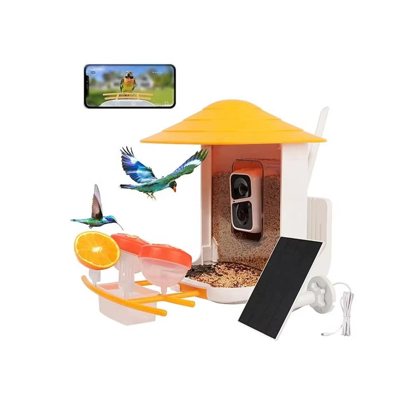 Smart Bird Feeder Camera - KI-gestützte Erkennung von über 10.000 Vogelarten