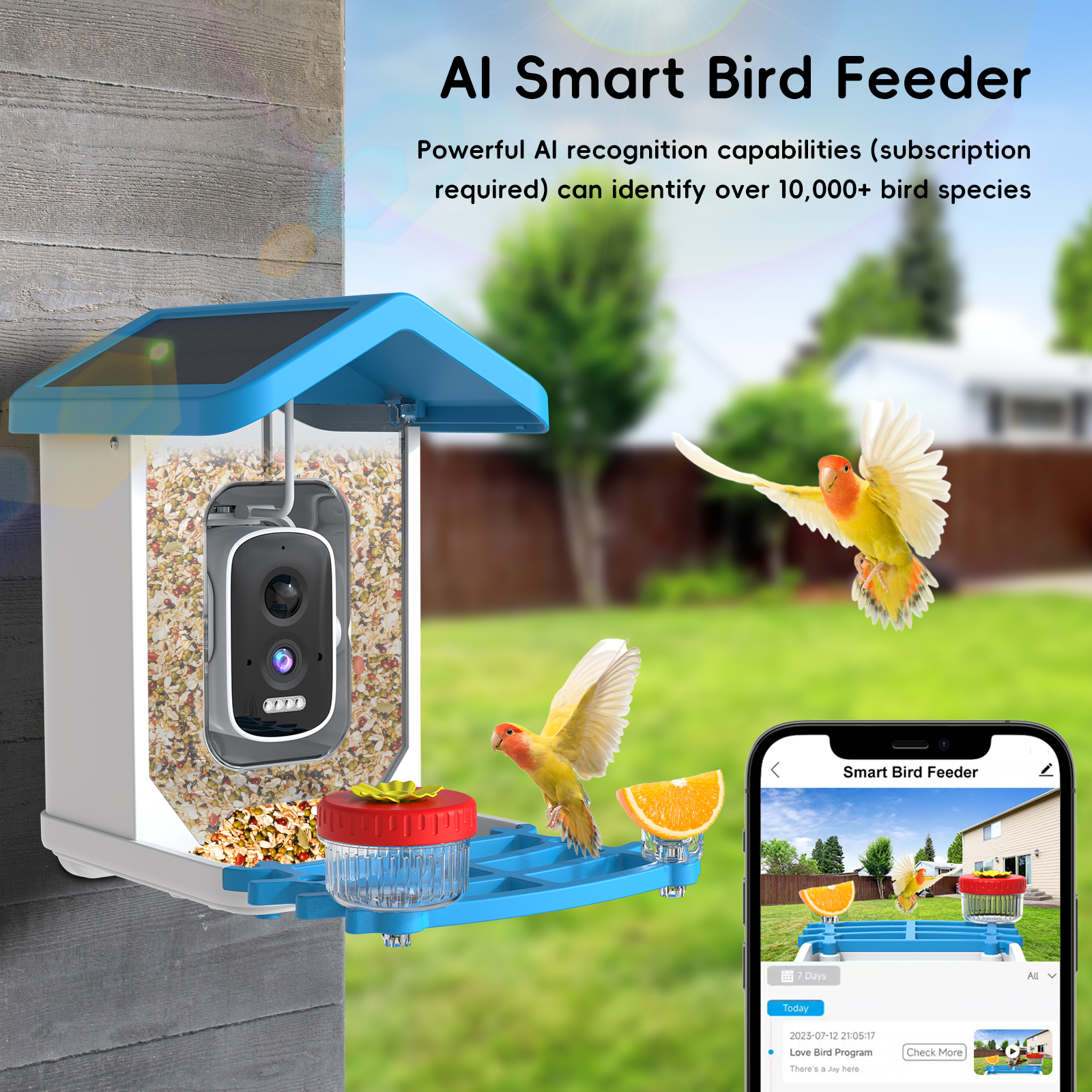 Smart Bird Feeder Camera - Solar-Vogelfutterkamera, kabellose IP-Kamera für den Außenbereich,