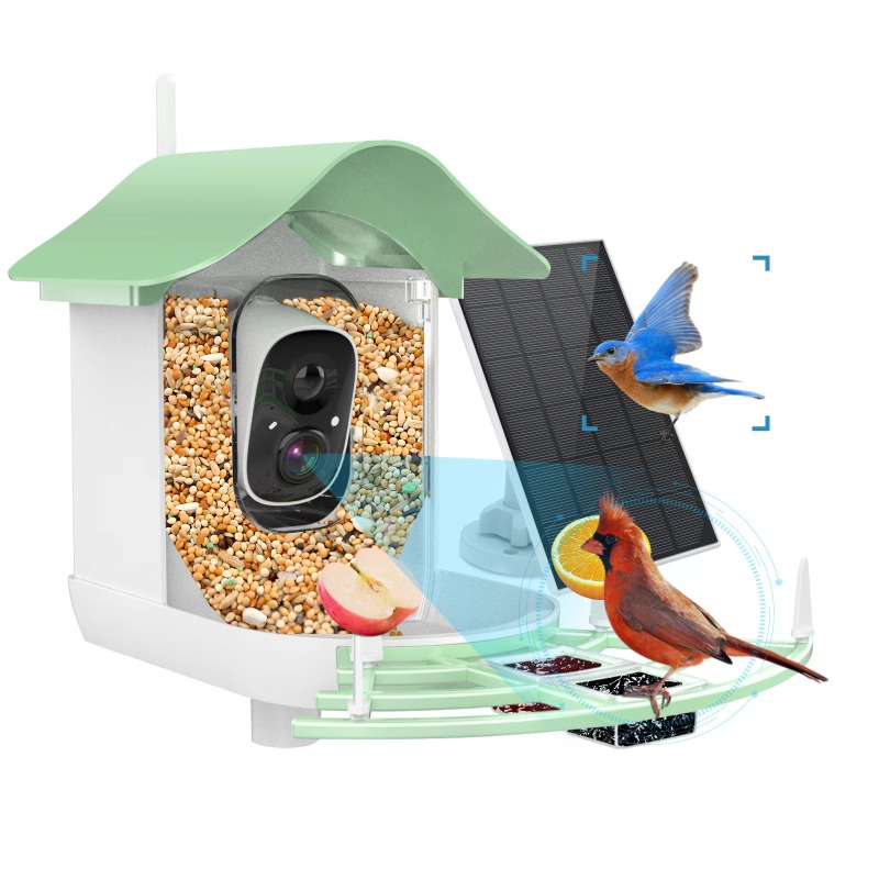 Smart Bird Feeder Camera - 2026 App Video Auto Capture Kamera