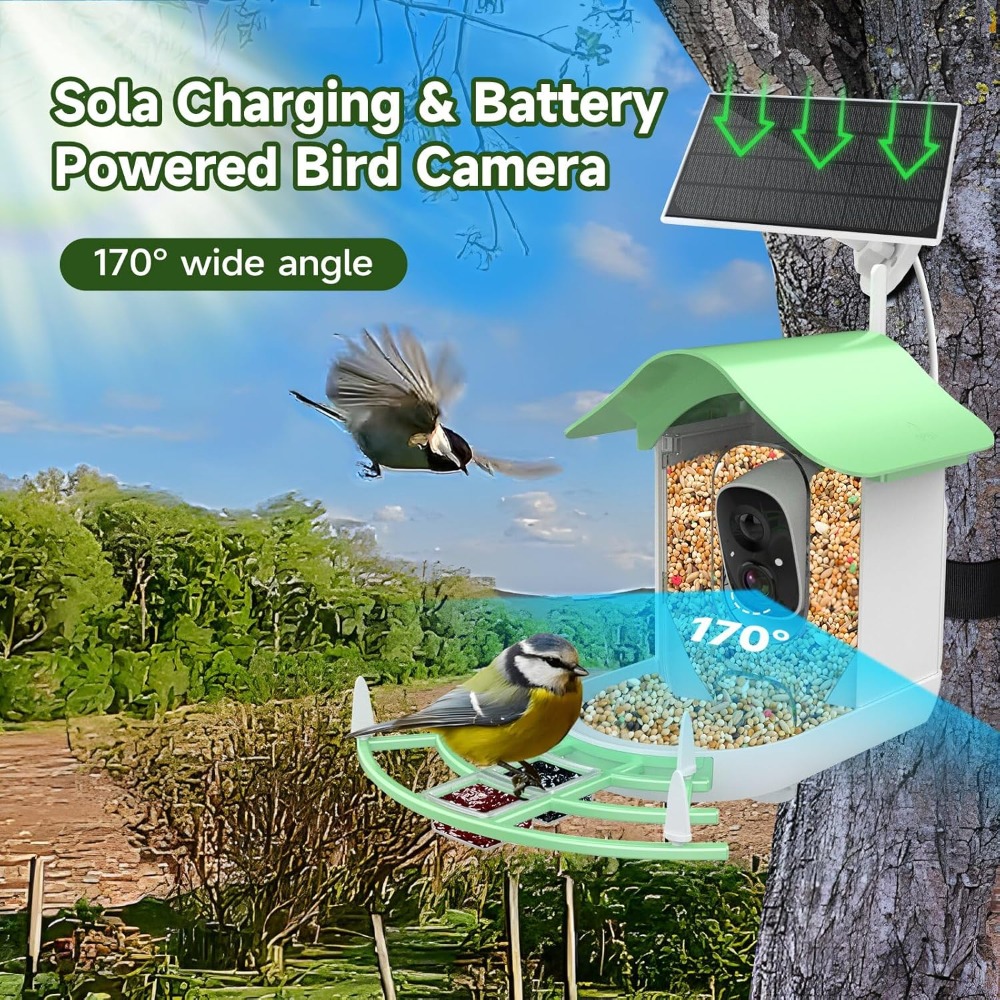 Solarbetriebener intelligenter – Smart Bird Feeder Camera Bewertung und Preis