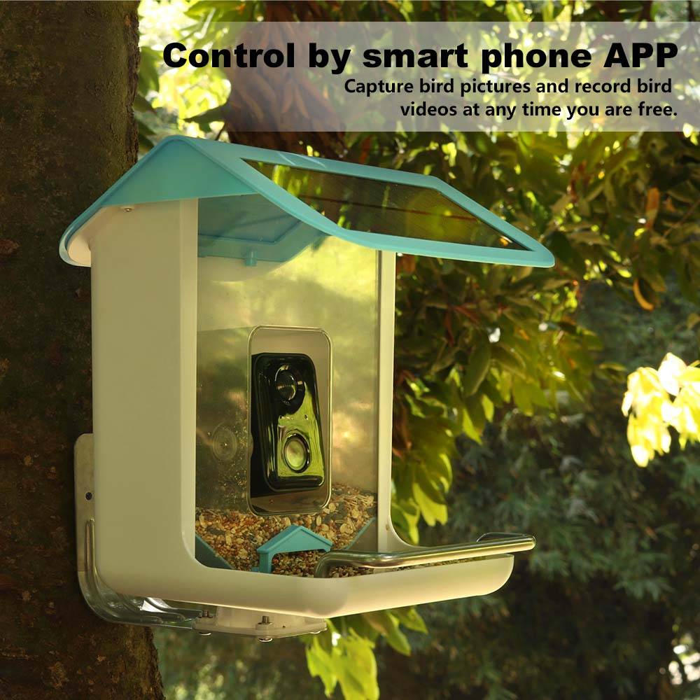 Outdoor-Wildtierkamera mit WLA – Smart Bird Feeder Camera Bewertung und Preis