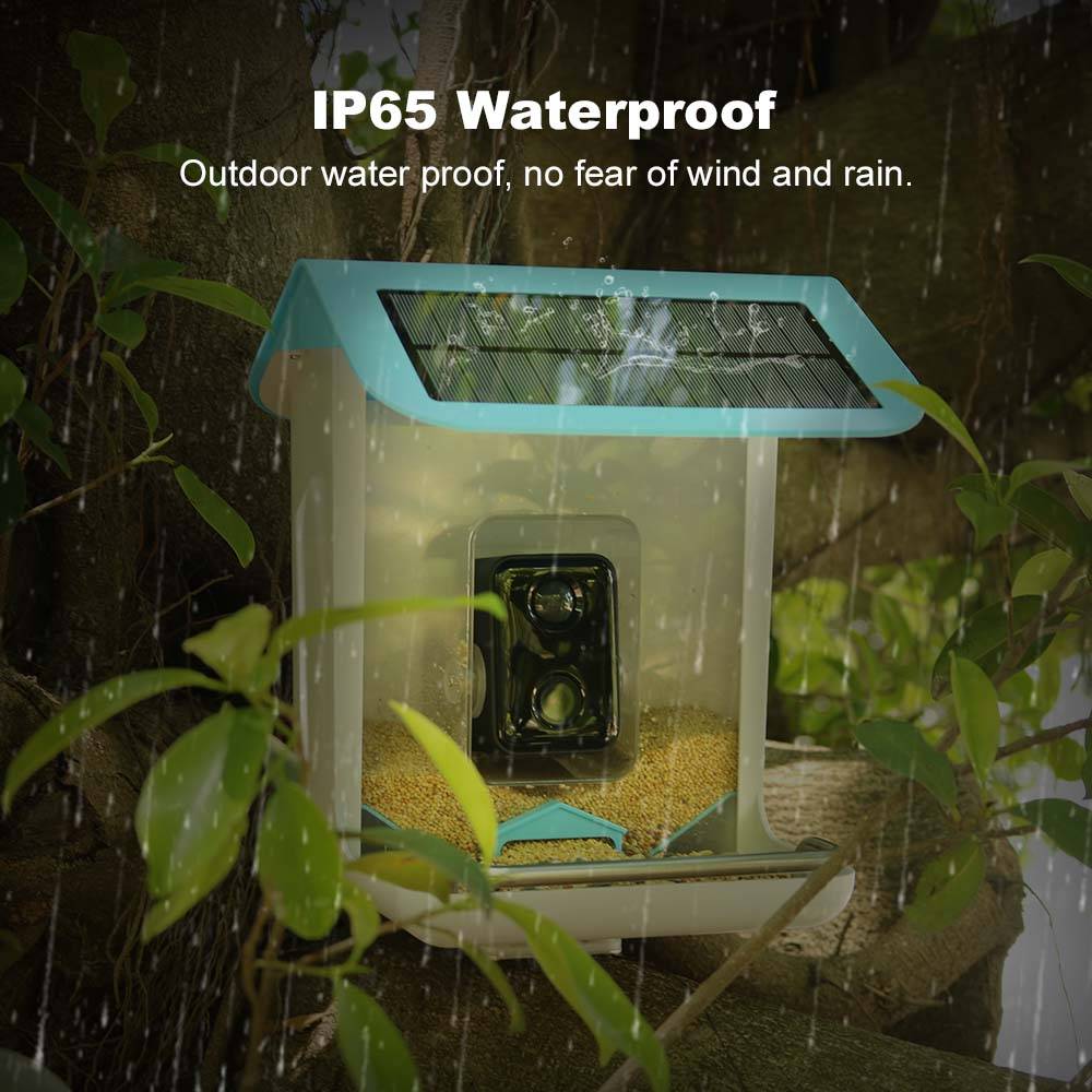 Outdoor-Wildtierkamera mit WLA – Smart Bird Feeder Camera Bewertung und Preis