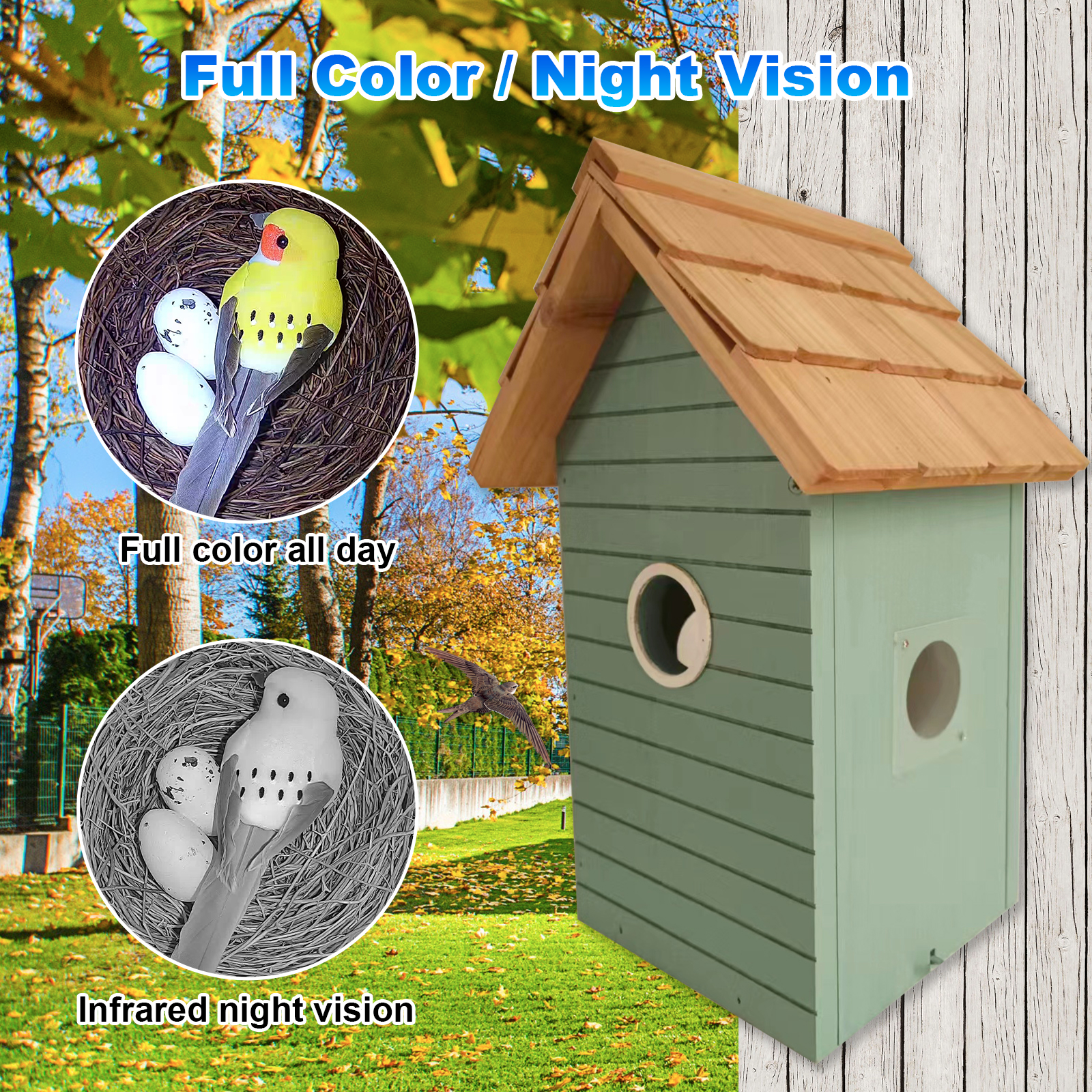 Fabrikpreis 3MP Smart Bird Fee – Smart Bird Feeder Camera Bewertung und Preis