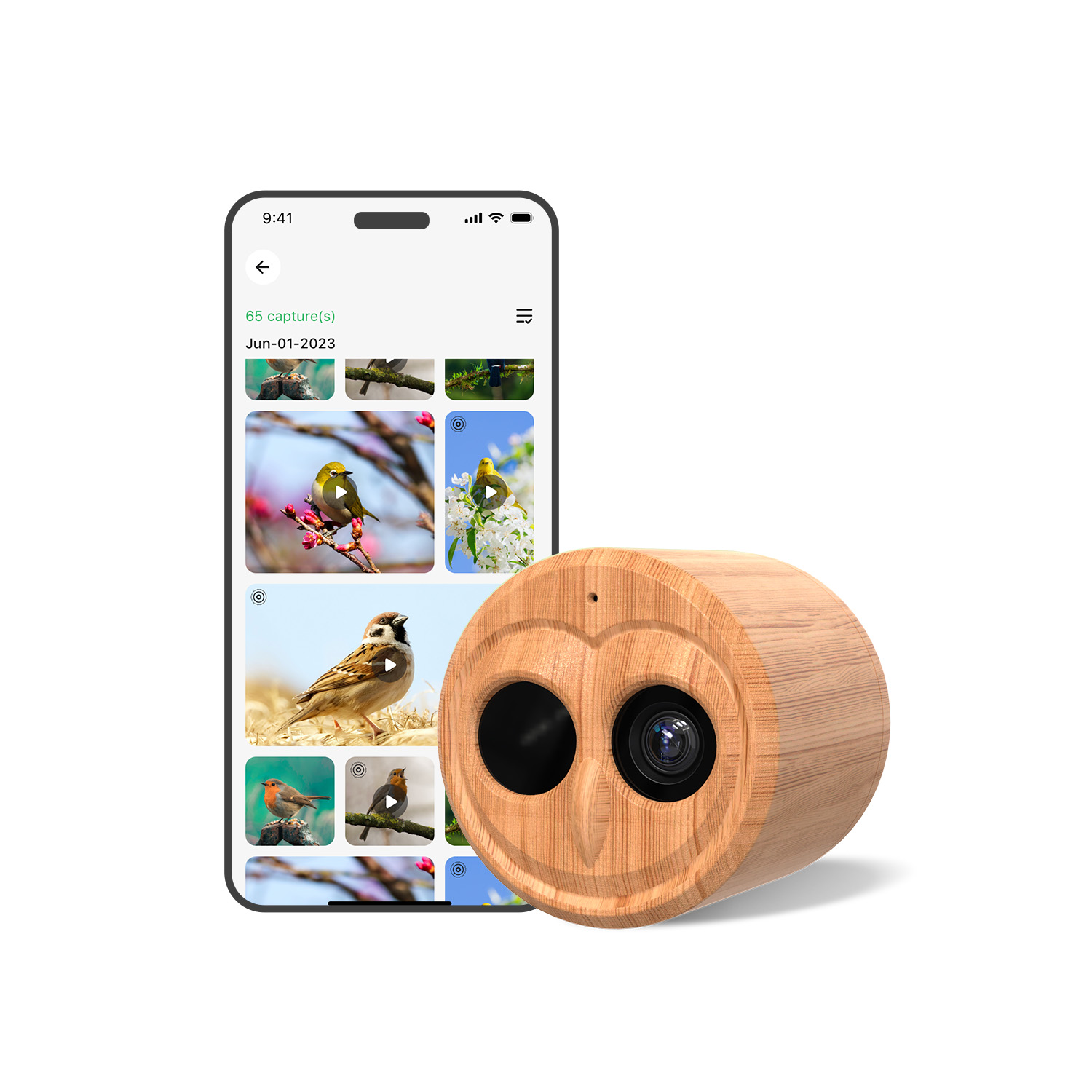 4K Smart Vogelfutterautomat mi – Smart Bird Feeder Camera Bewertung und Preis