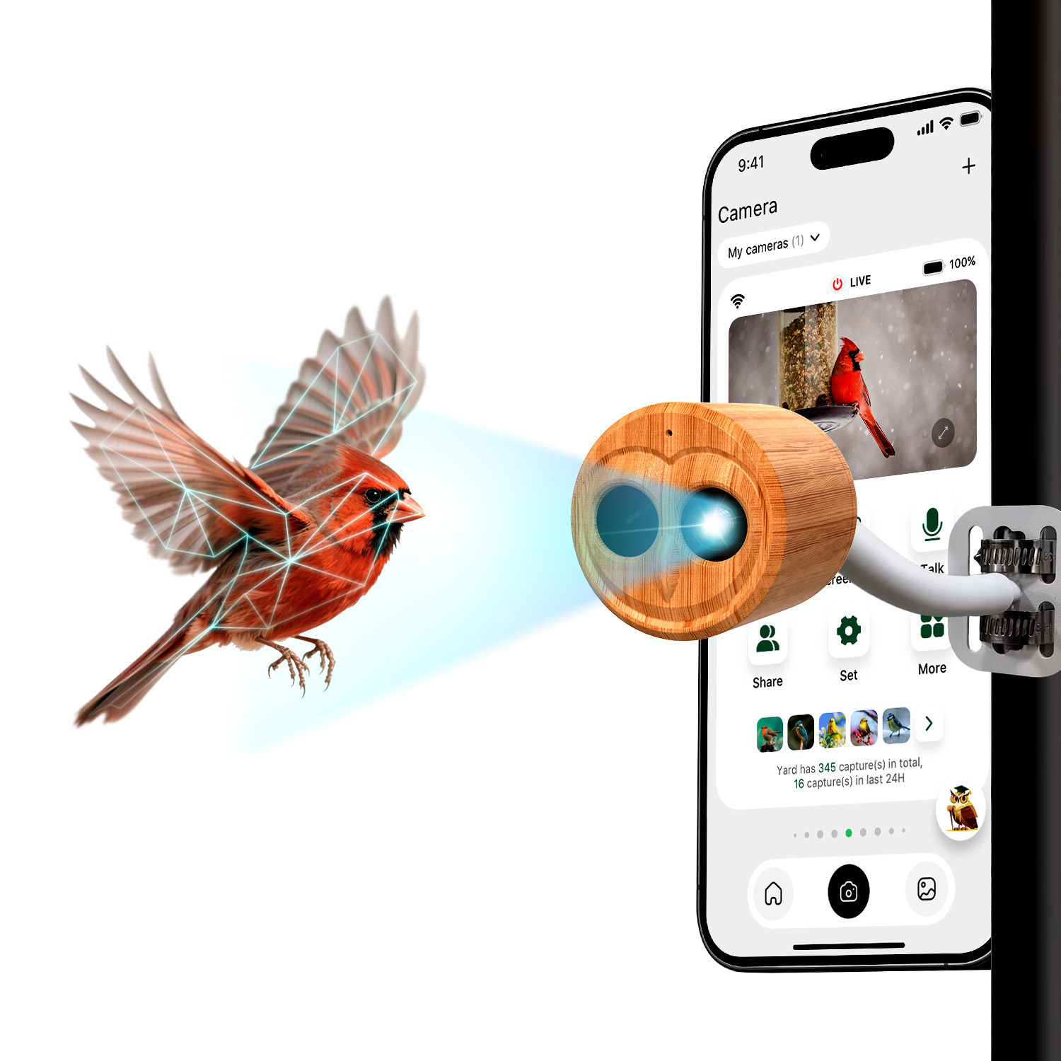 4K Smart Vogelfutterautomat mi – Smart Bird Feeder Camera Bewertung und Preis