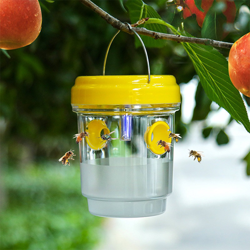 Solarbetriebene Fruchtfliegenf – Smart Garden Solar Bewertung und Preis