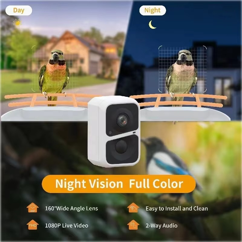 KI-gestützte Erkennung von übe – Smart Bird Feeder Camera Bewertung und Preis
