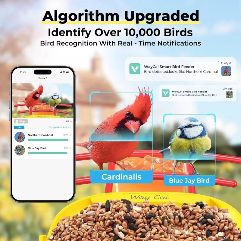 KI-gestützte Erkennung von übe – Smart Bird Feeder Camera Bewertung und Preis