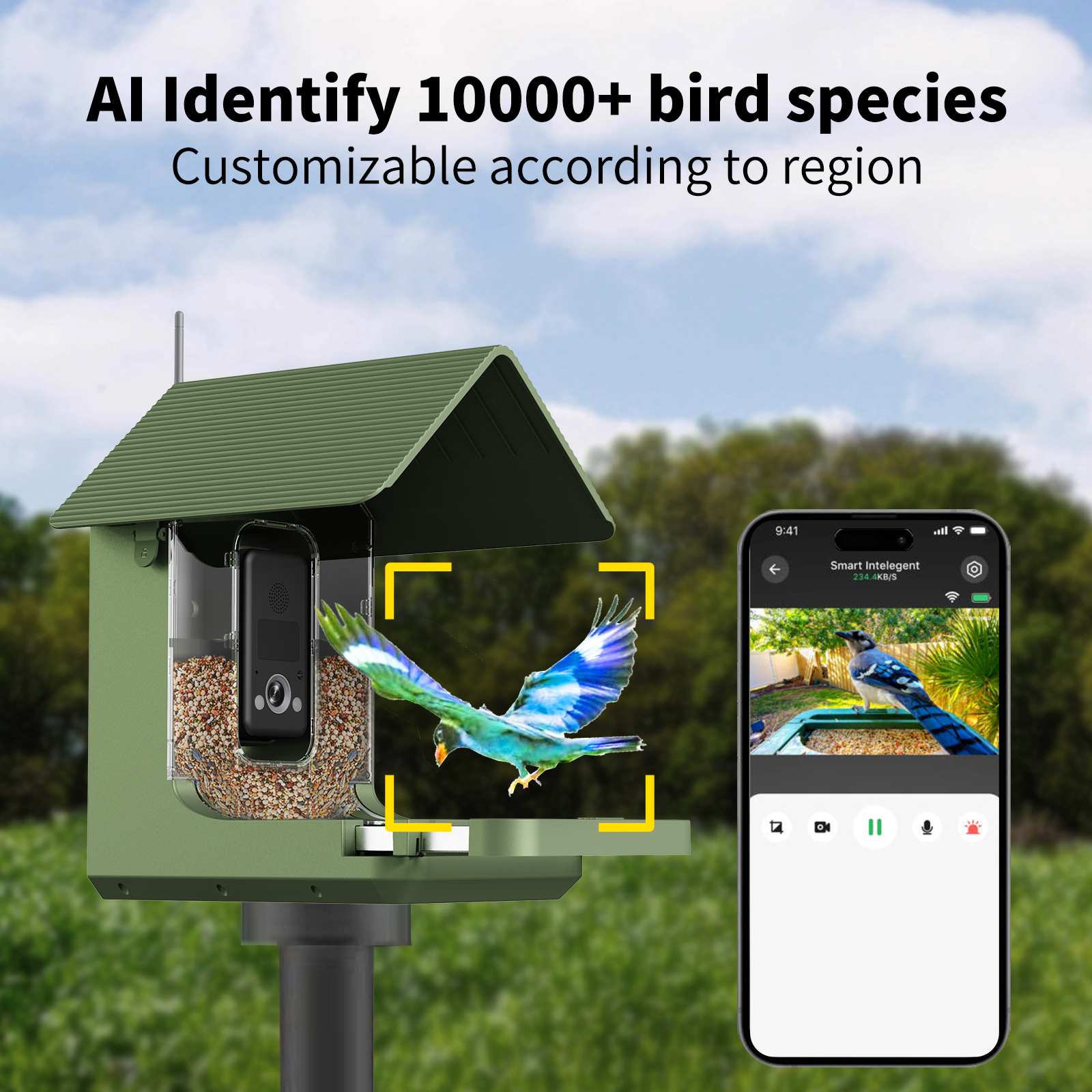 Willfine 0.4S Auslösezeit KI-E – Smart Bird Feeder Camera Bewertung und Preis