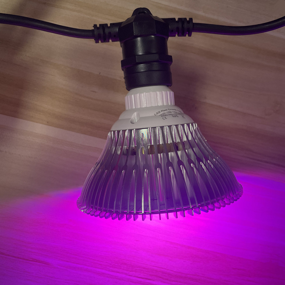 10 m langes LED-Kabel, wasserd – Smart Garden Light Bewertung und Preis
