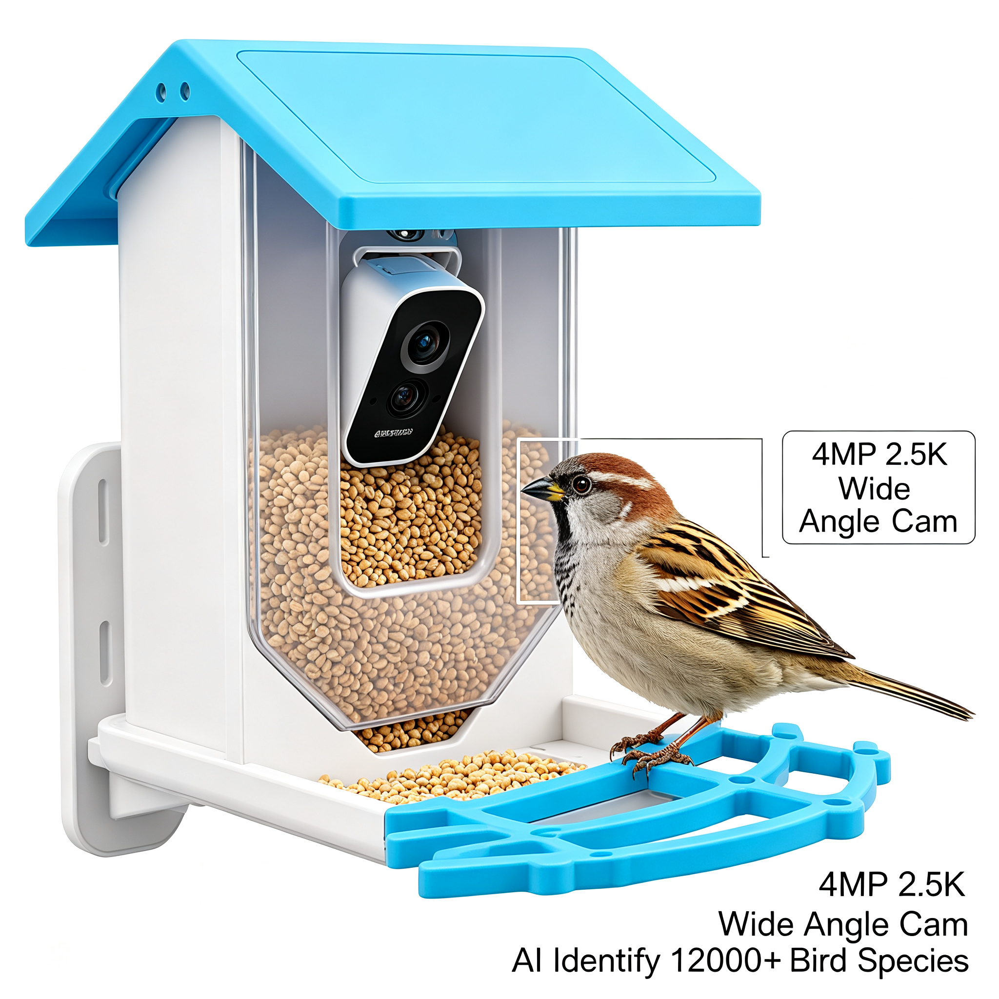 Solarbetriebener Vogelfuttersp – Smart Bird Feeder Camera Bewertung und Preis