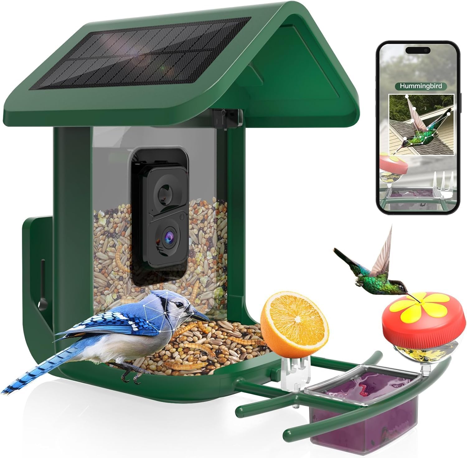 Intelligenter Vogelfutterspend – Smart Bird Feeder Camera Bewertung und Preis
