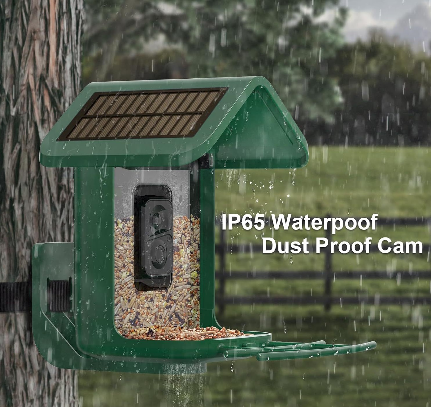 Intelligenter Vogelfutterspend – Smart Bird Feeder Camera Bewertung und Preis
