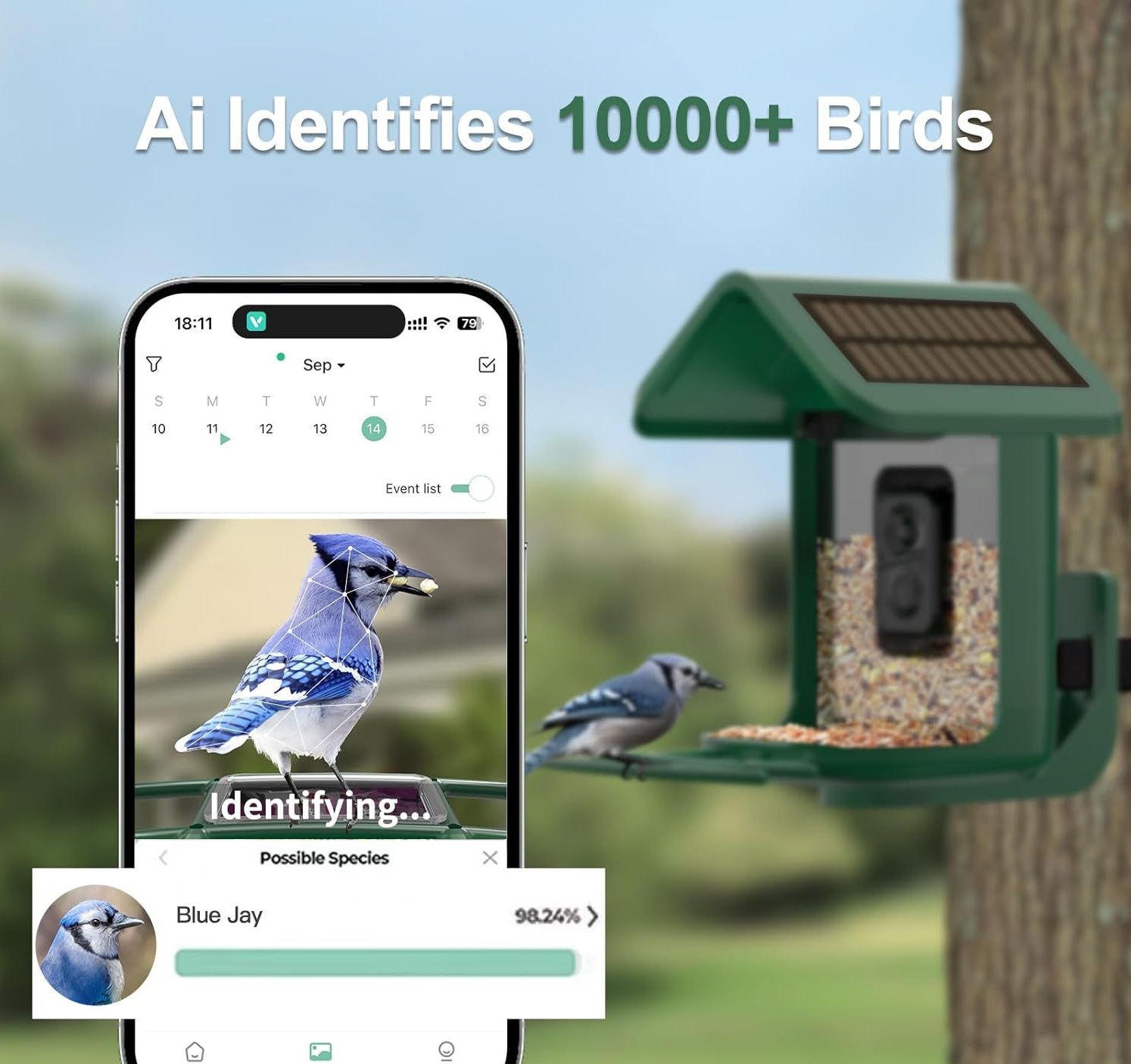 Intelligenter Vogelfutterspend – Smart Bird Feeder Camera Bewertung und Preis