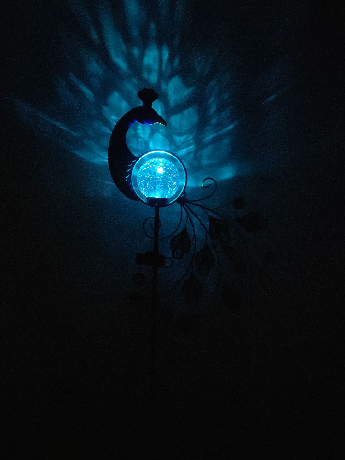 Solar-Pfauen lampe Schmiedeeis – Smart Garden Solar Bewertung und Preis