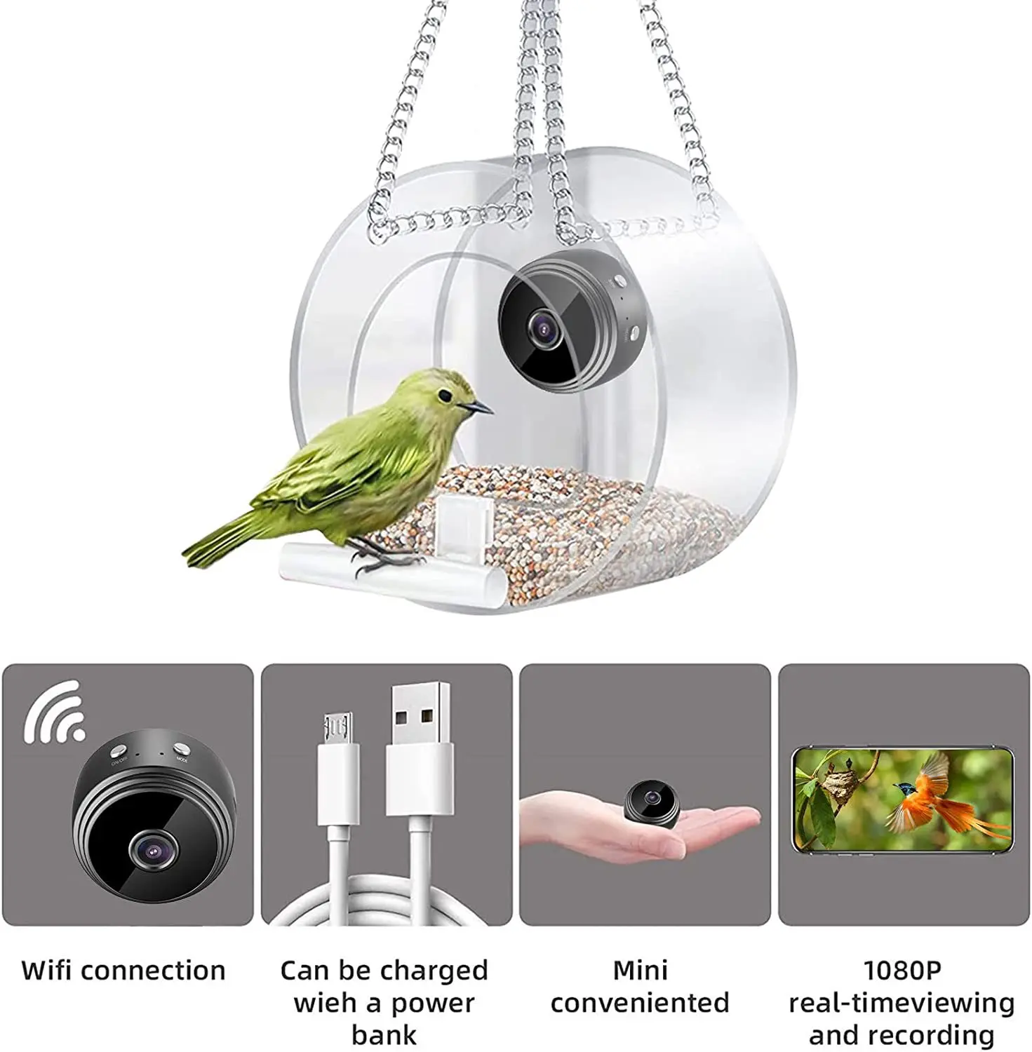 2023 Intelligenter Vogelfutter – Smart Bird Feeder Camera Bewertung und Preis