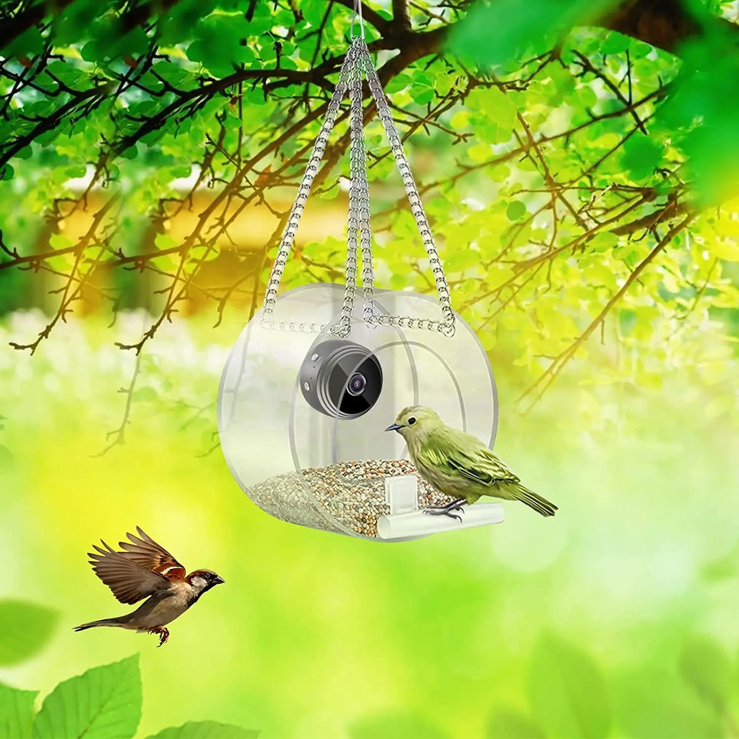 2023 Intelligenter Vogelfutter – Smart Bird Feeder Camera Bewertung und Preis