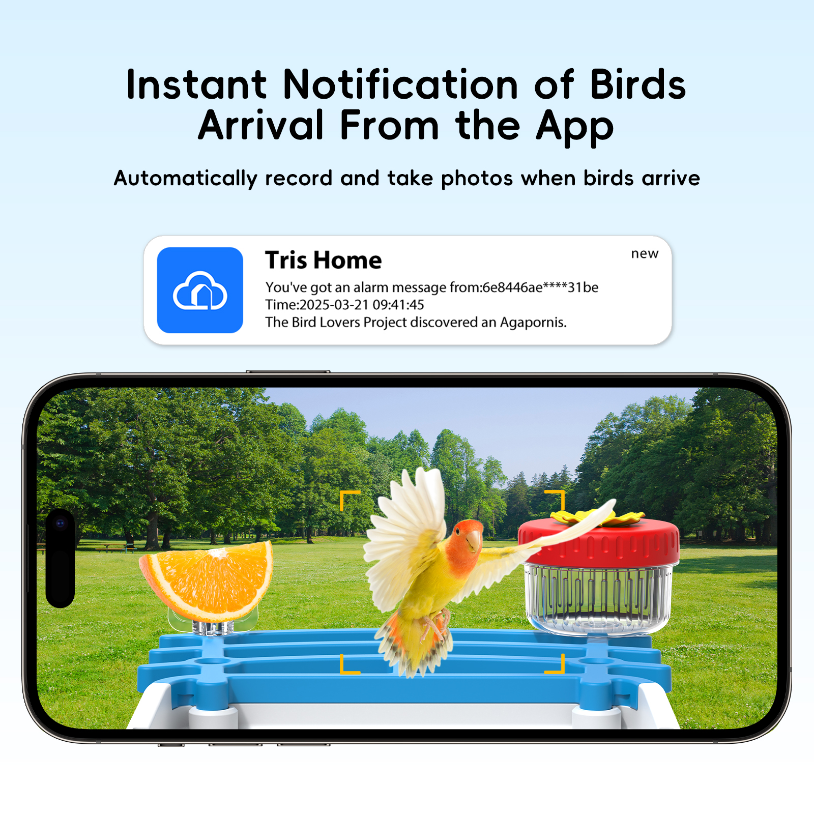 Solar-Vogelfutterkamera, kabel – Smart Bird Feeder Camera Bewertung und Preis