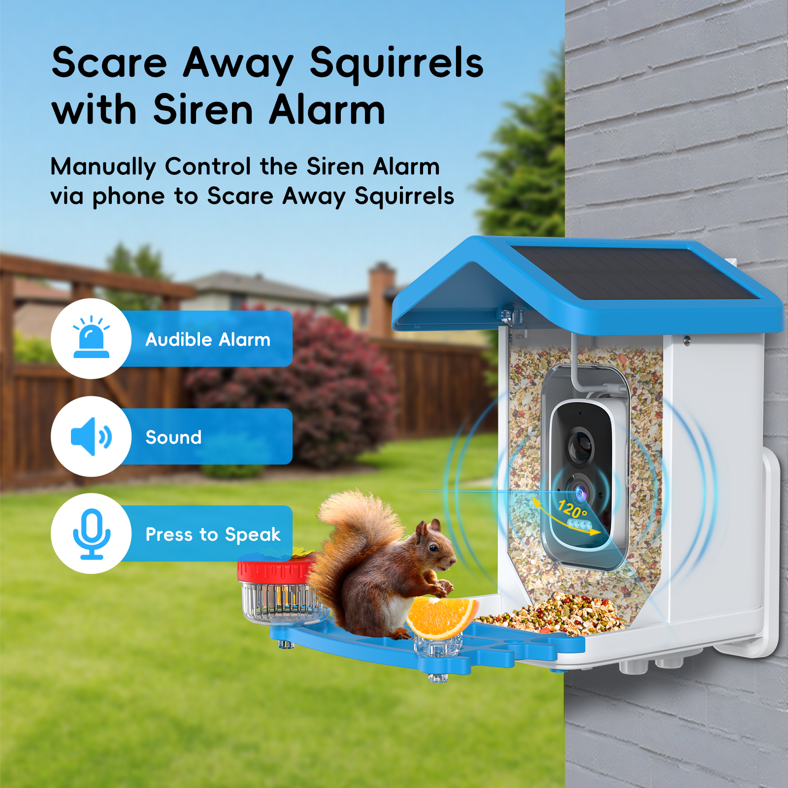 Solar-Vogelfutterkamera, kabel – Smart Bird Feeder Camera Bewertung und Preis