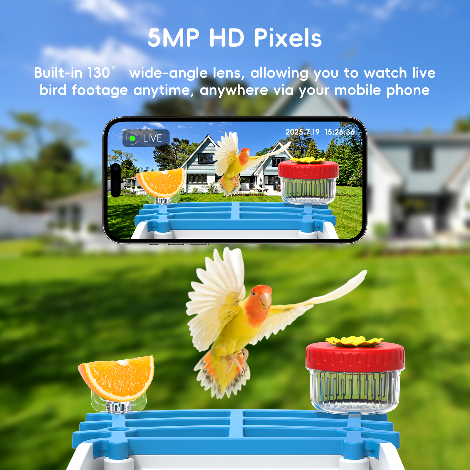 Solar-Vogelfutterkamera, kabel – Smart Bird Feeder Camera Bewertung und Preis