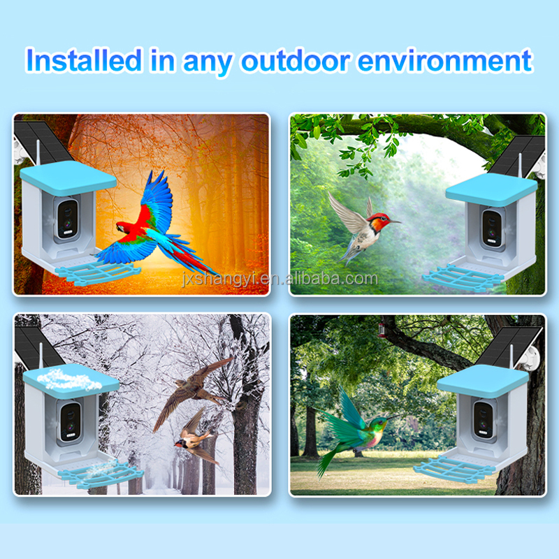 Fabrik-OEM Umweltfreundlicher  – Smart Bird Feeder Camera Bewertung und Preis