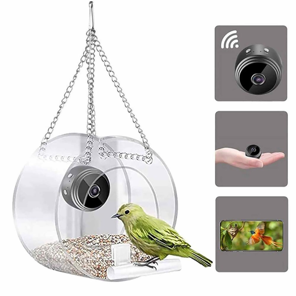 Vogelfutterstation mit hochauf – Smart Bird Feeder Camera Bewertung und Preis
