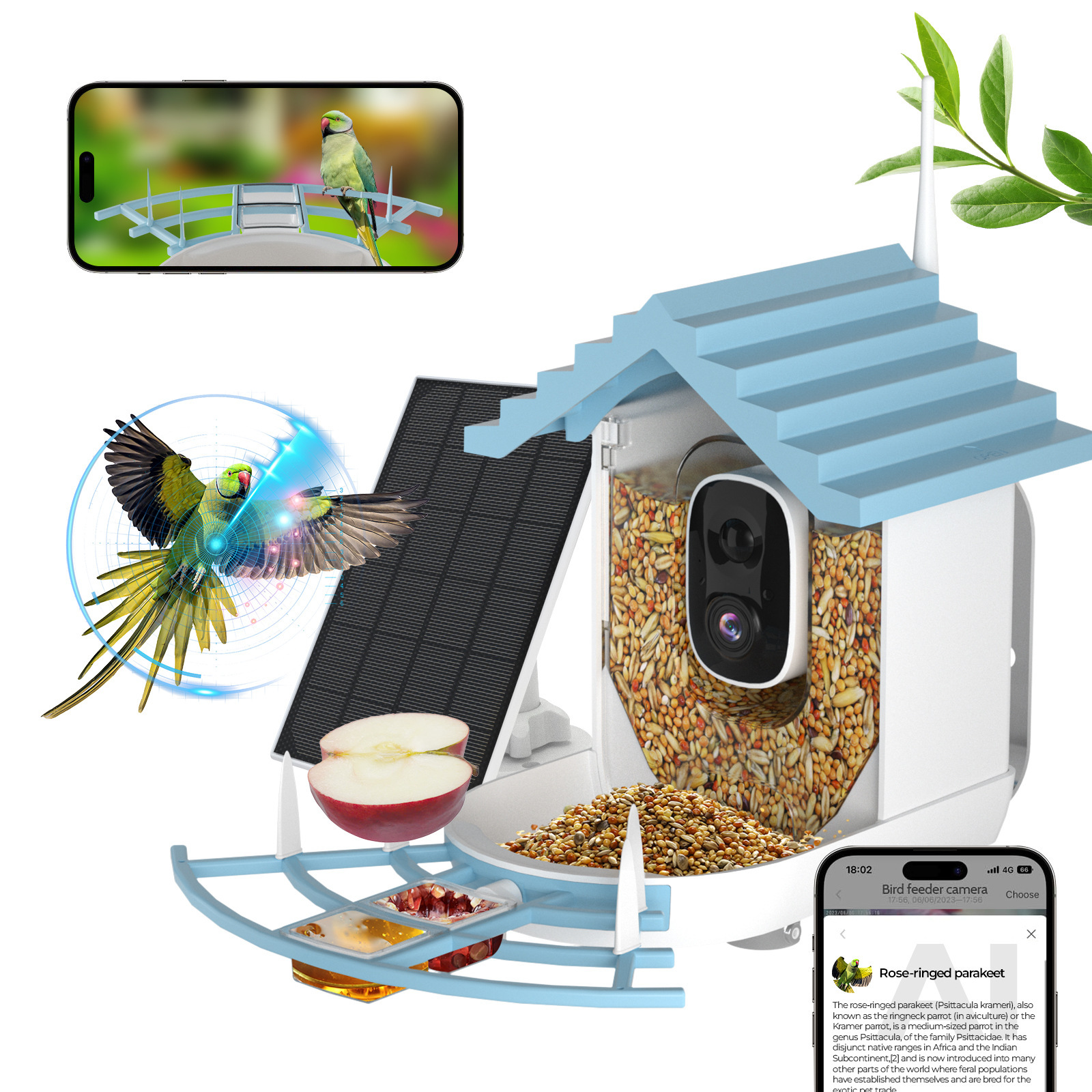 Solarbetriebener Energiesparen – Smart Bird Feeder Camera Bewertung und Preis