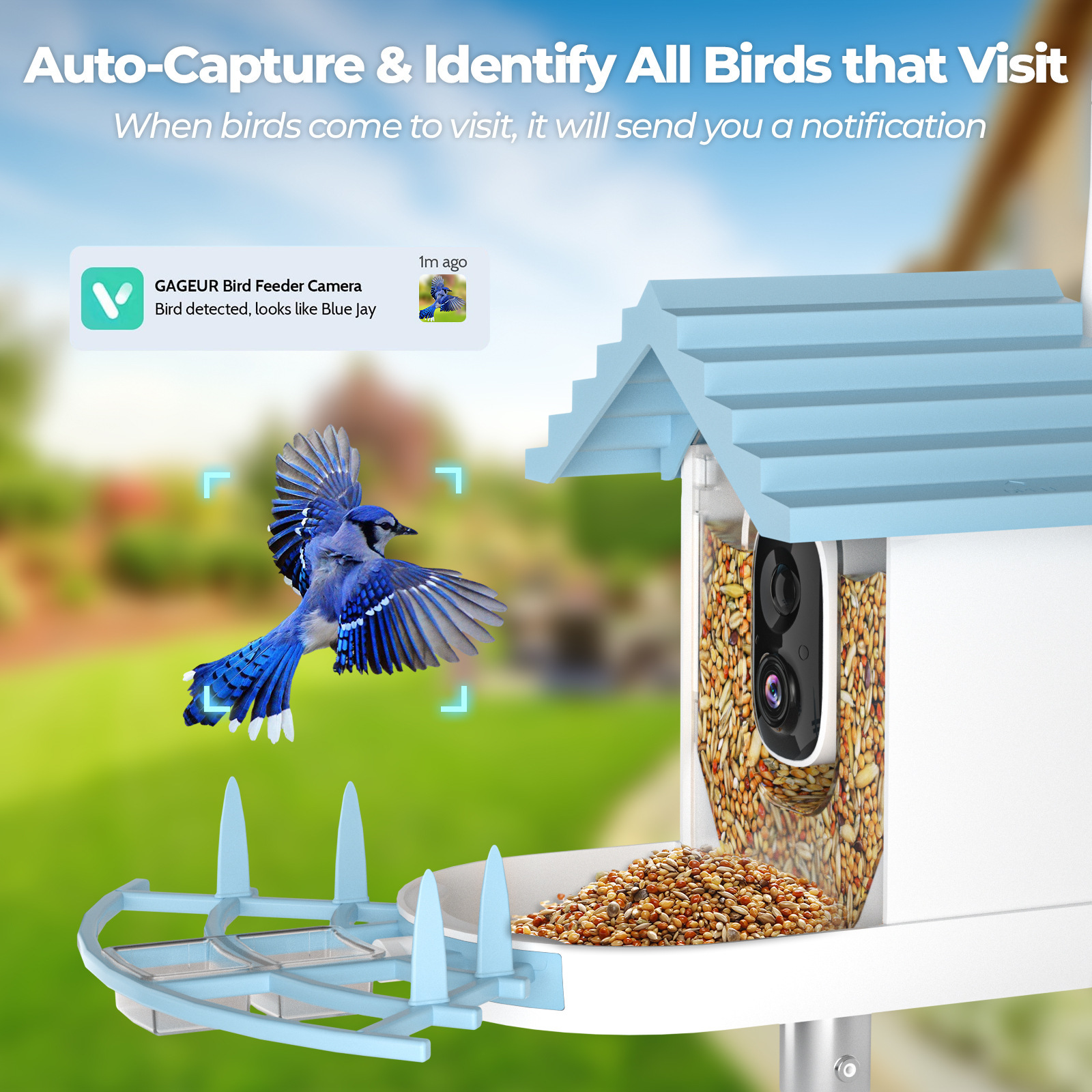 Solarbetriebener Energiesparen – Smart Bird Feeder Camera Bewertung und Preis