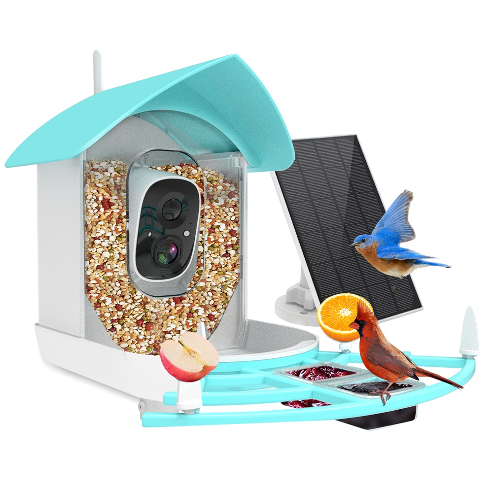 Drahtlose automatische Haustie – Smart Bird Feeder Camera Bewertung und Preis