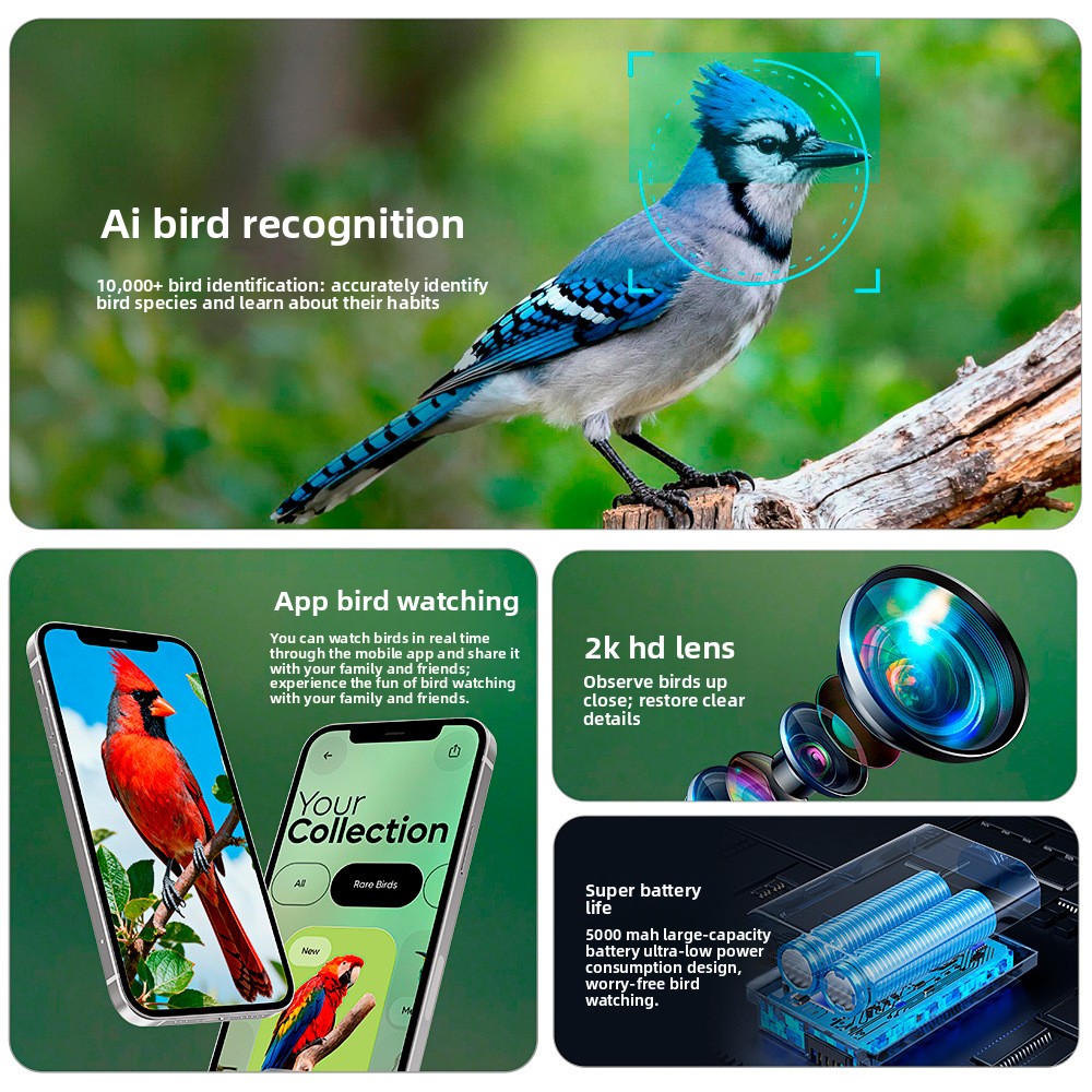 Vogelfutterhaus für Draußen mi – Smart Bird Feeder Camera Bewertung und Preis