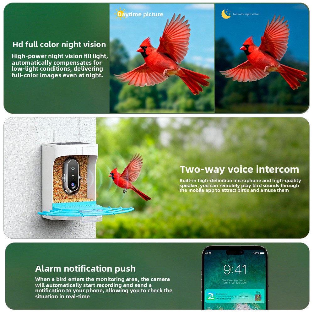 Vogelfutterhaus für Draußen mi – Smart Bird Feeder Camera Bewertung und Preis