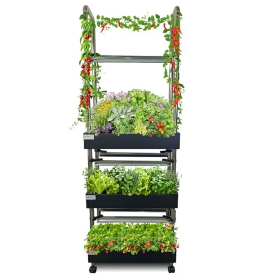 Indoor-Hydrokultur-Anbausystem – Smart Garden Light Bewertung und Preis