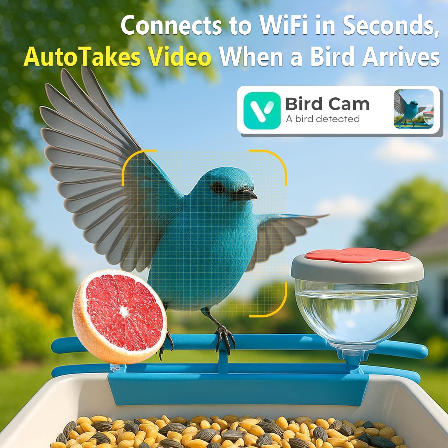 Intelligenter Vogelfutterautom – Smart Bird Feeder Camera Bewertung und Preis