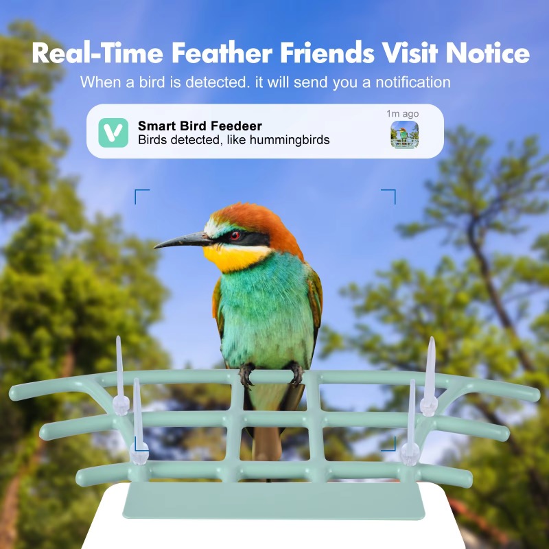 Smart Bird Feeder Nachtsicht-I – Smart Bird Feeder Camera Bewertung und Preis
