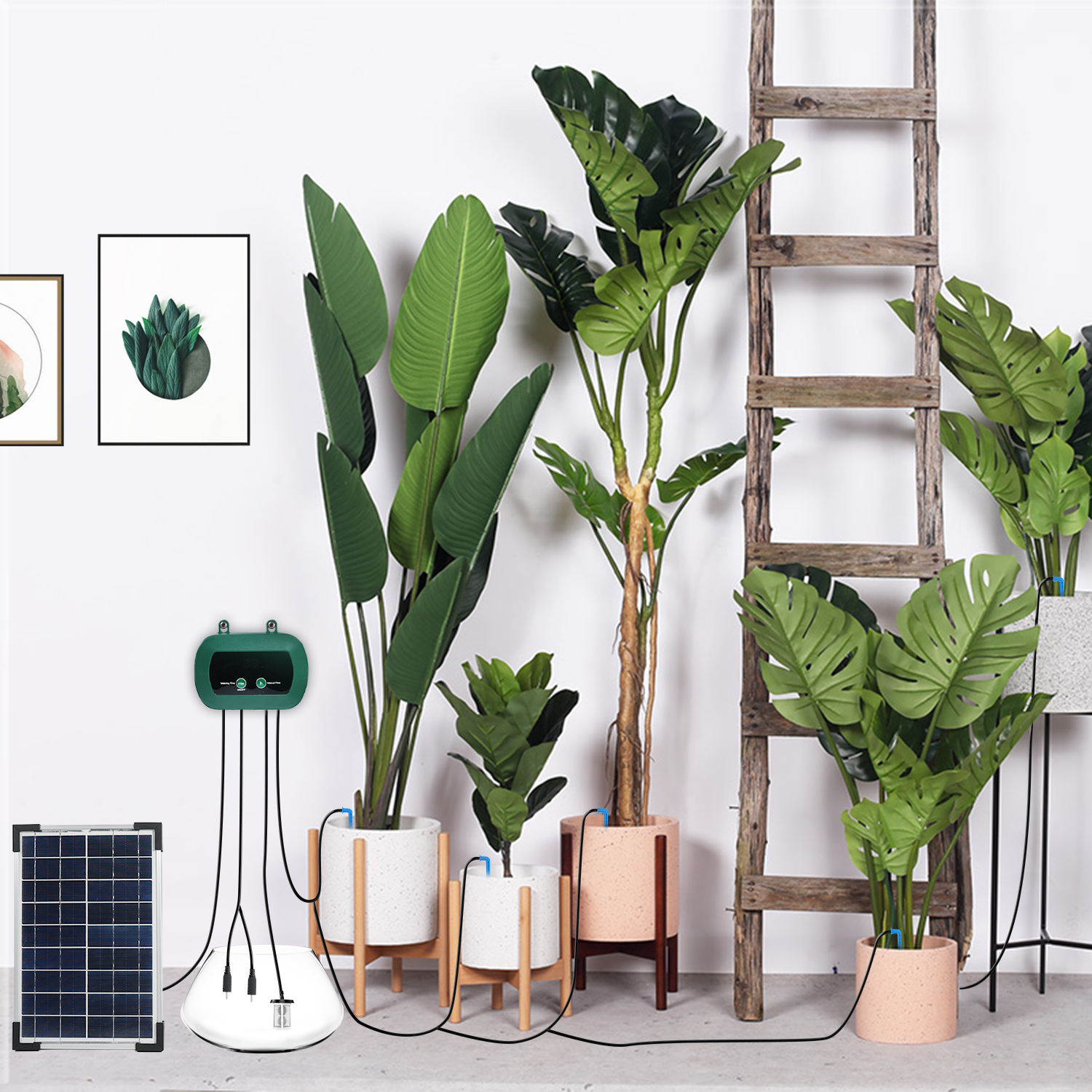 Solar-Hydroponik-Ausrüstung Mi – Smart Garden Solar Bewertung und Preis