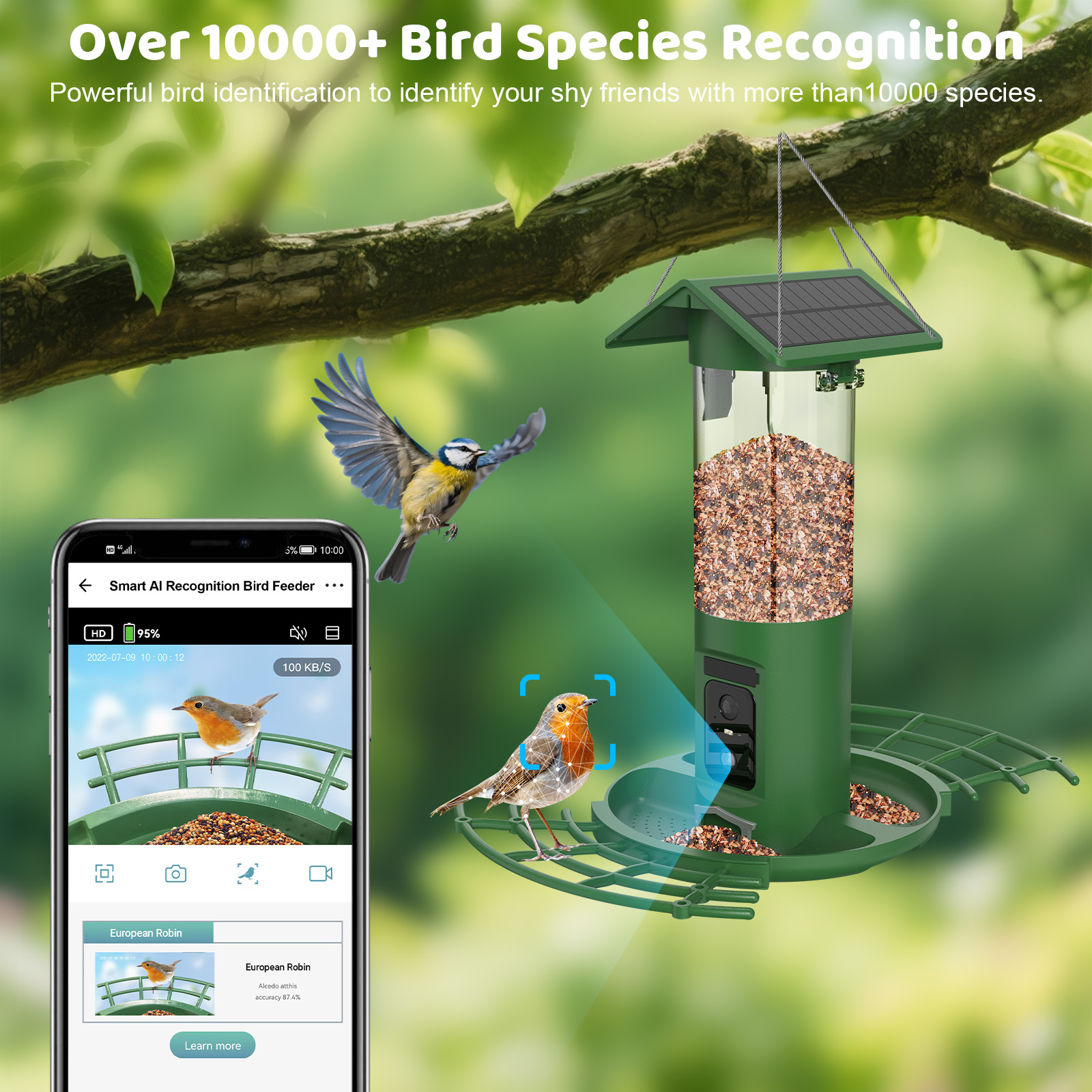 Intelligenter Doppelkamera-Vog – Smart Bird Feeder Camera Bewertung und Preis