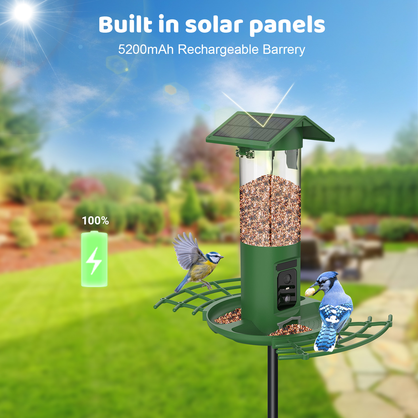 Intelligenter Doppelkamera-Vog – Smart Bird Feeder Camera Bewertung und Preis
