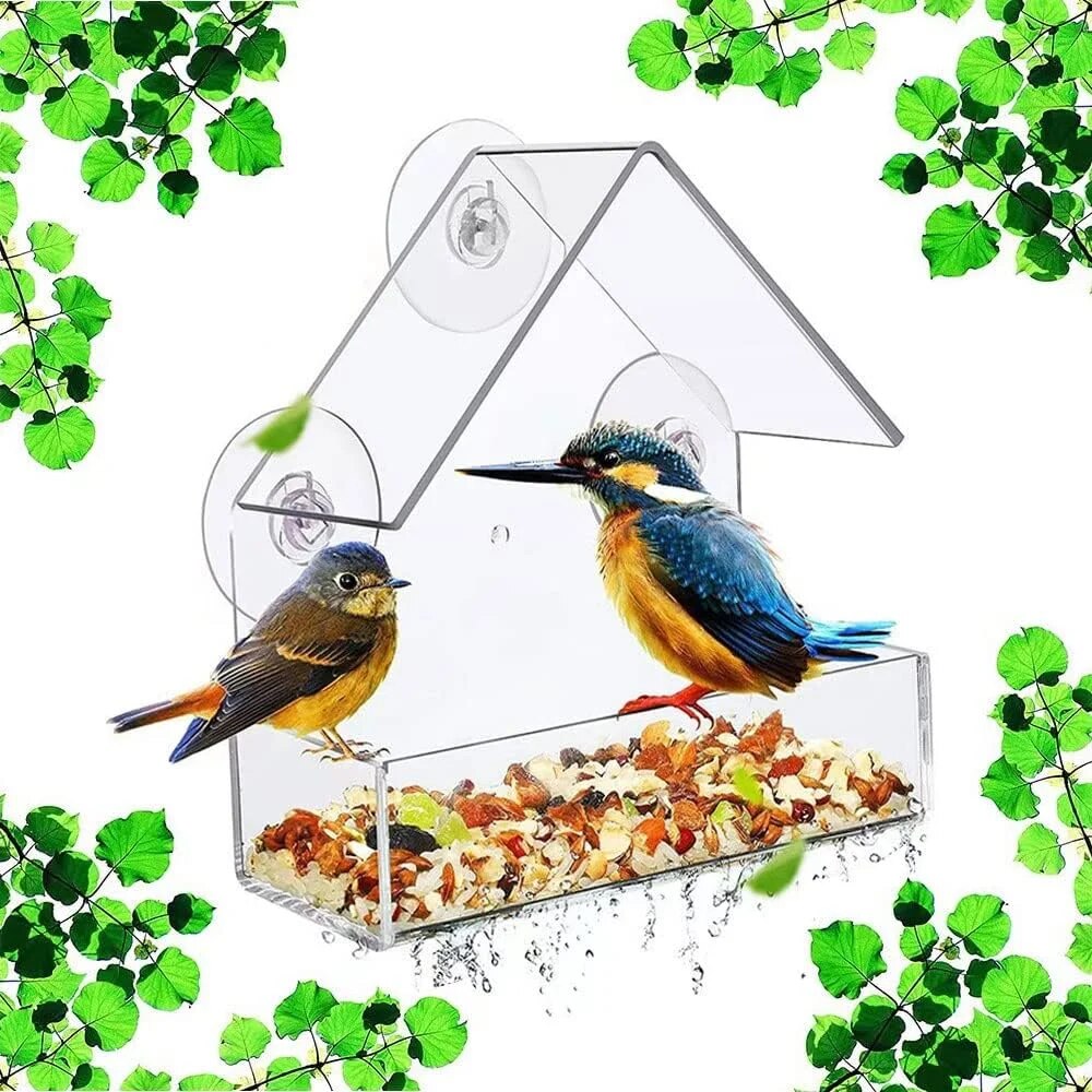 Acryl-Vogelfutterstation, klar – Smart Bird Feeder Camera Bewertung und Preis