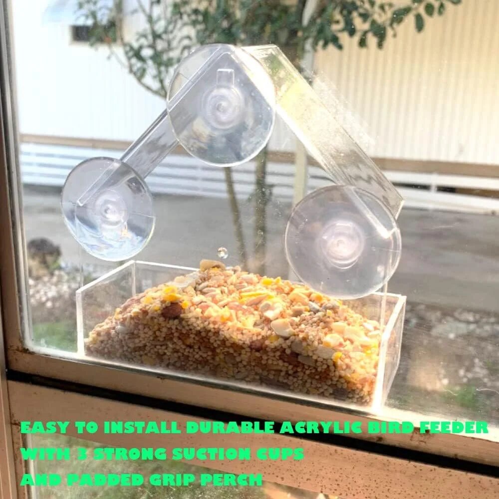 Acryl-Vogelfutterstation, klar – Smart Bird Feeder Camera Bewertung und Preis