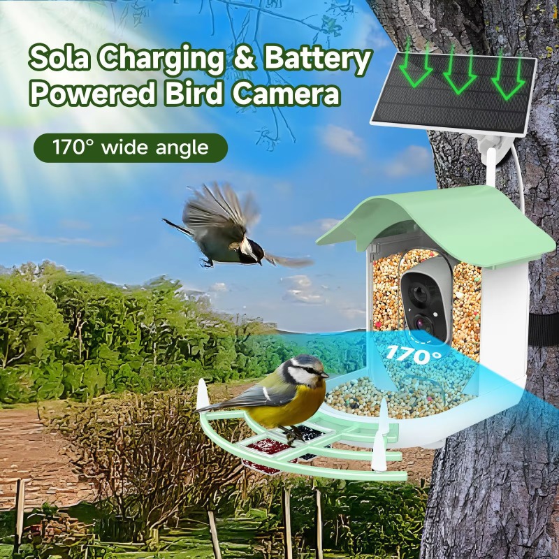 2026 App Video Auto Capture Ka – Smart Bird Feeder Camera Bewertung und Preis