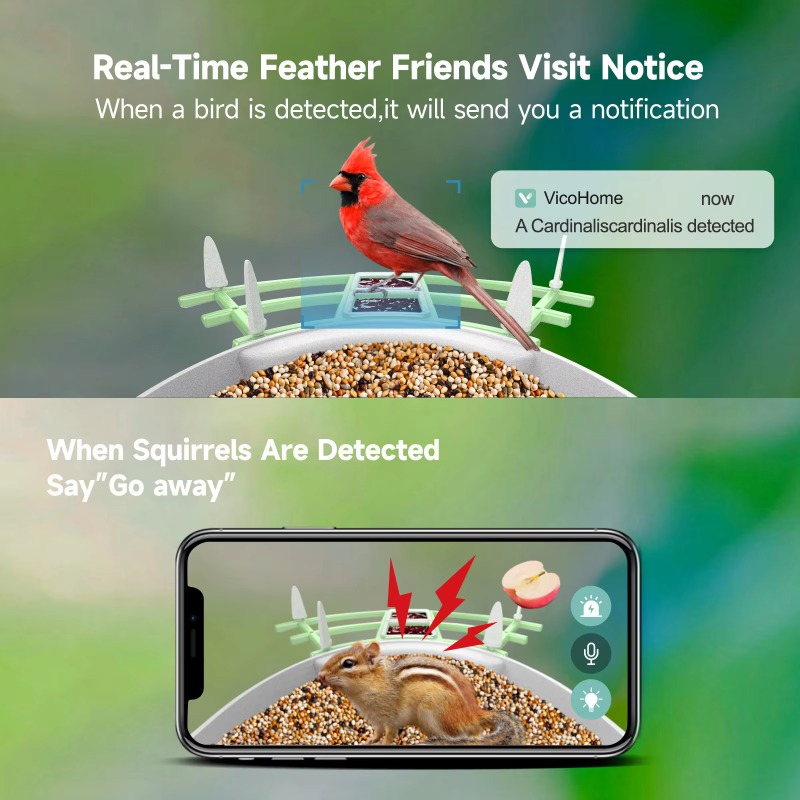 2026 App Video Auto Capture Ka – Smart Bird Feeder Camera Bewertung und Preis