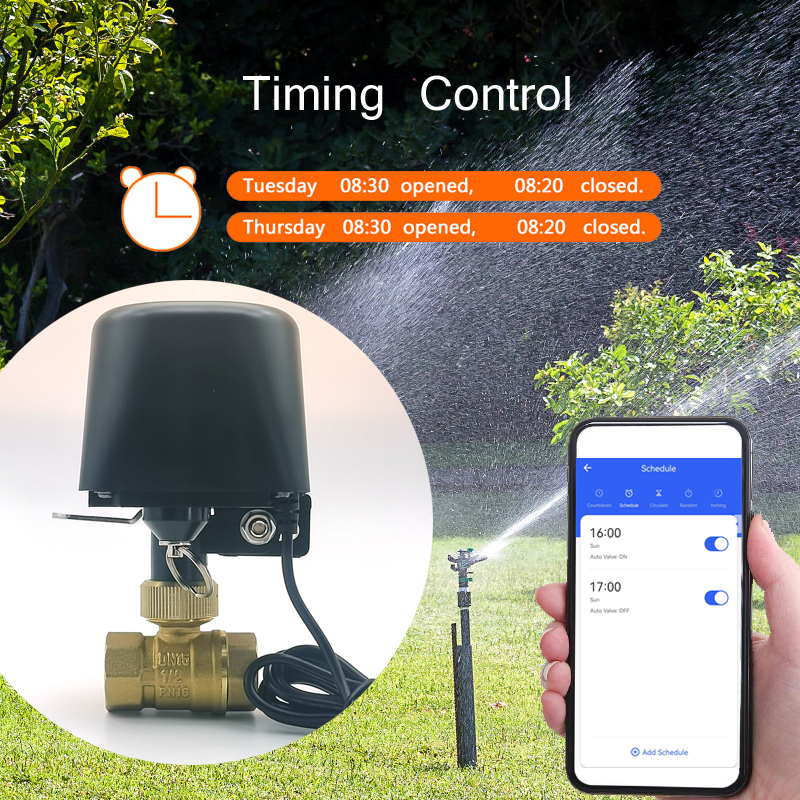 Tuya WiFi oder Zigbee Wasserve – Wifi Irrigation Timer Bewertung und Preis